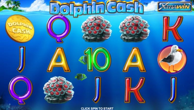 Dolphin Cash Screenshot