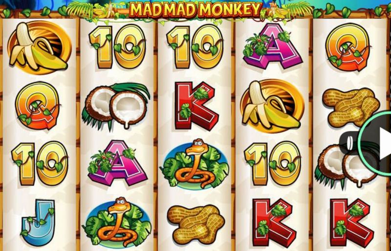 Mad Mad Monkey Screenshot