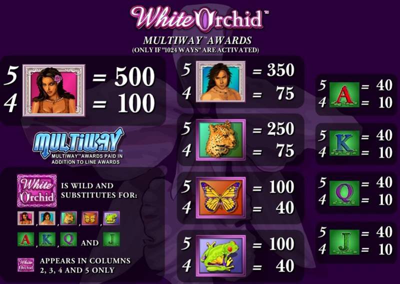 White Orchid Paytable