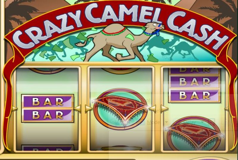 Crazy Camel Cash Screenshot